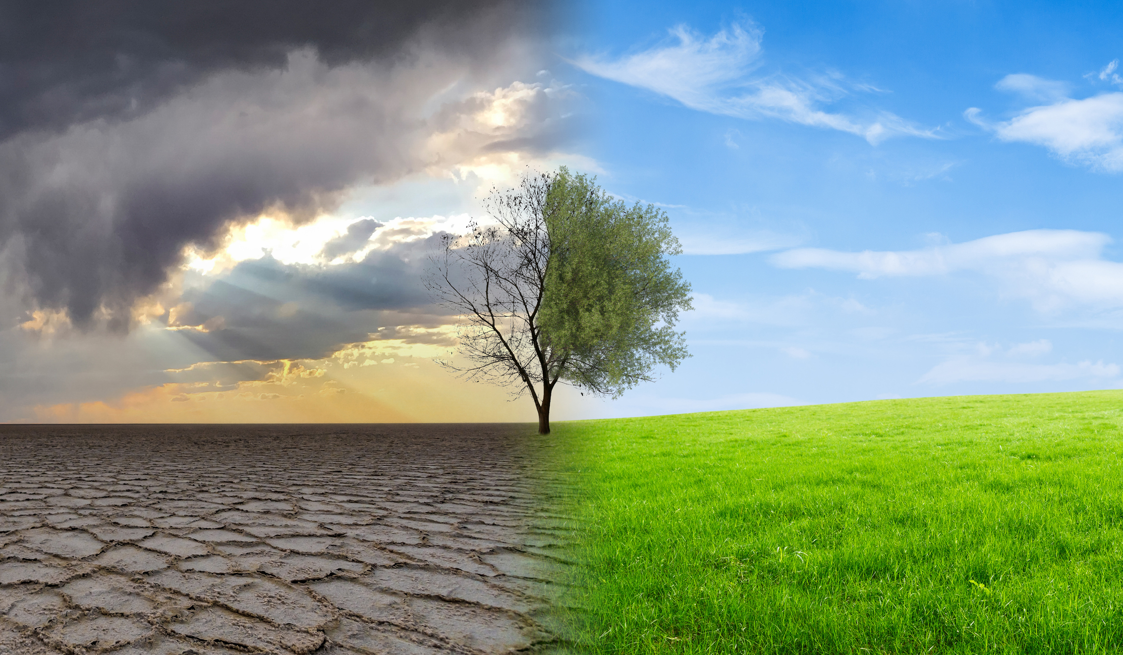 8 Ways Weather and Climate Impact Population Growth