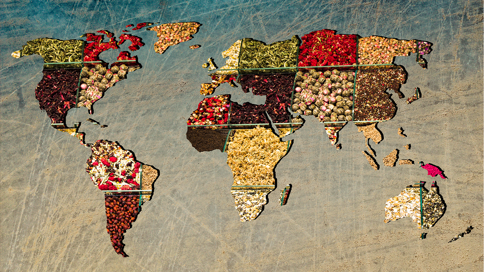 Social Studies Never Tasted So Good